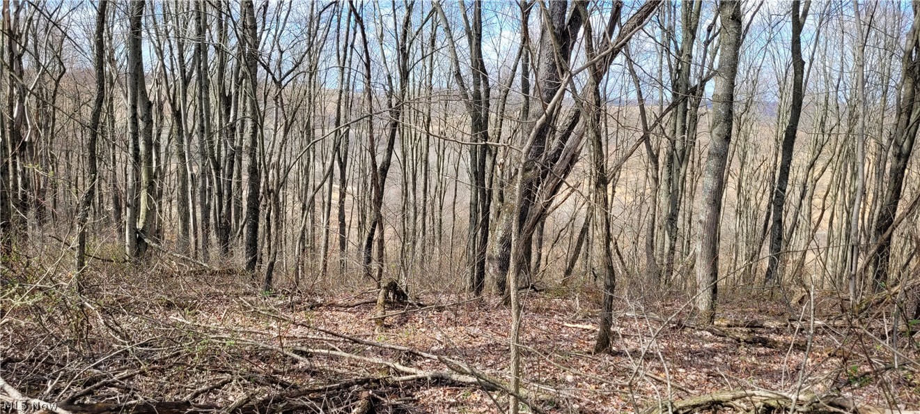 Township/Linton - Residential