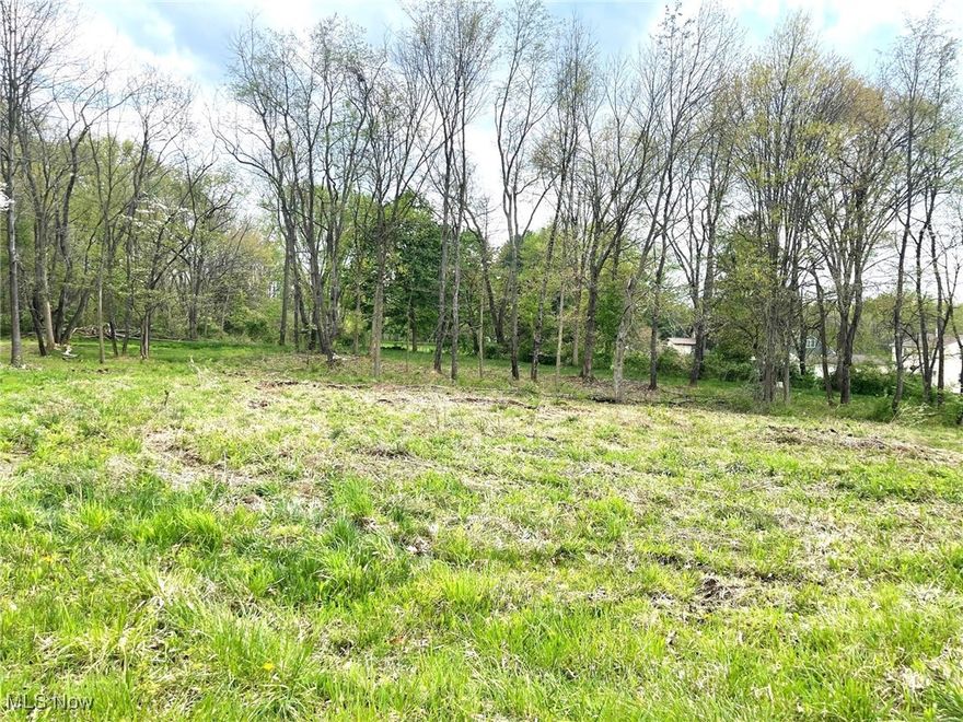 This buildable .31 acre partially wooded lot is on a dead end street and is located in the Perry Local School District. Lot is level and has 80' of frontage and is 170' deep. Public water and public sewer. Directions: Erie St. to east on Forest Ave. SE.