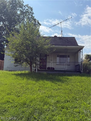 411 E LACLEDE AVE, YOUNGSTOWN, OH 44507 - Image 5d2975801bd03c07fa10a05ffa77fa4b/2383448232