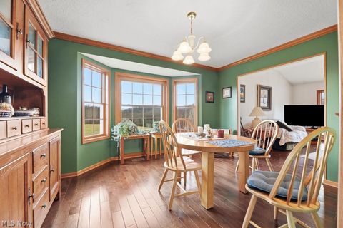 Tiny photo for 10240 Manor Road NE, Minerva, OH 44657 (MLS # 5190247)