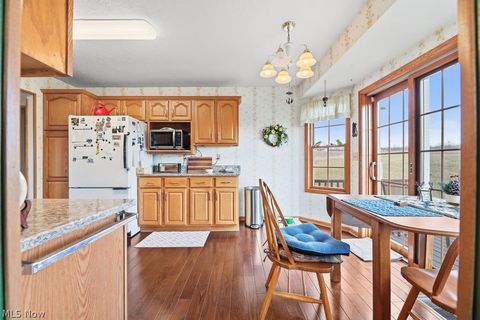 Tiny photo for 10240 Manor Road NE, Minerva, OH 44657 (MLS # 5190247)