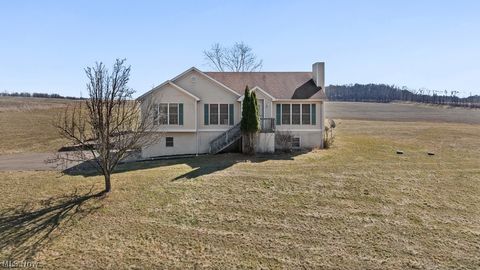 Tiny photo for 10240 Manor Road NE, Minerva, OH 44657 (MLS # 5190247)