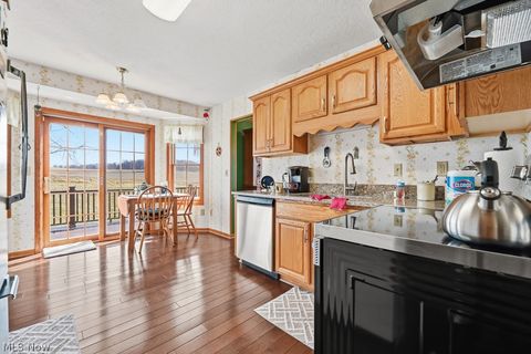 Tiny photo for 10240 Manor Road NE, Minerva, OH 44657 (MLS # 5190247)