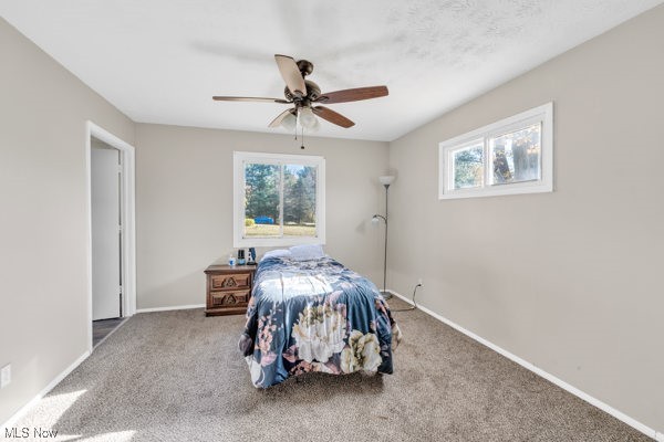 Copley Heights - Residential