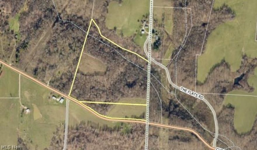 Great building spot for your home and recreation ground.  Mostly wooded, creek runs through rear of ground.  All mineral rights owned by seller will be retained by seller.  Inspections needed by buyer will be a buyers expense.  CAUV recoupment is a buyers expense if not kept as a CAUV property.  Forestry agreement available