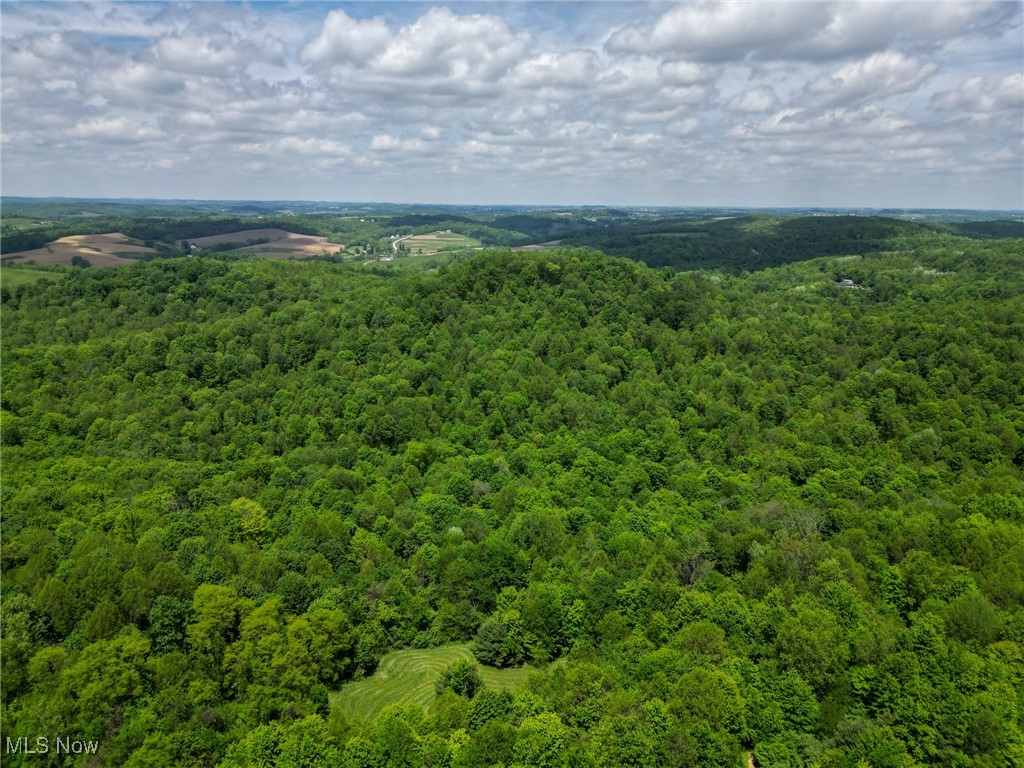 Township Road 189, Coshocton, Ohio image 12