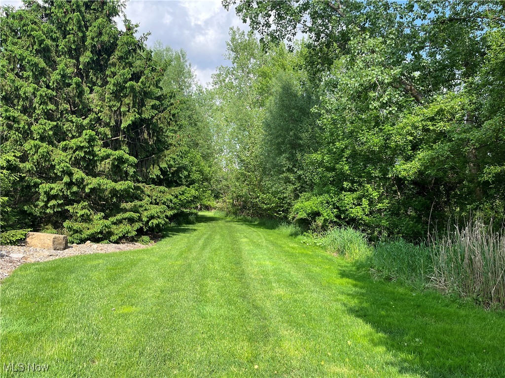 Birkdale Street, Canton, Ohio image 1