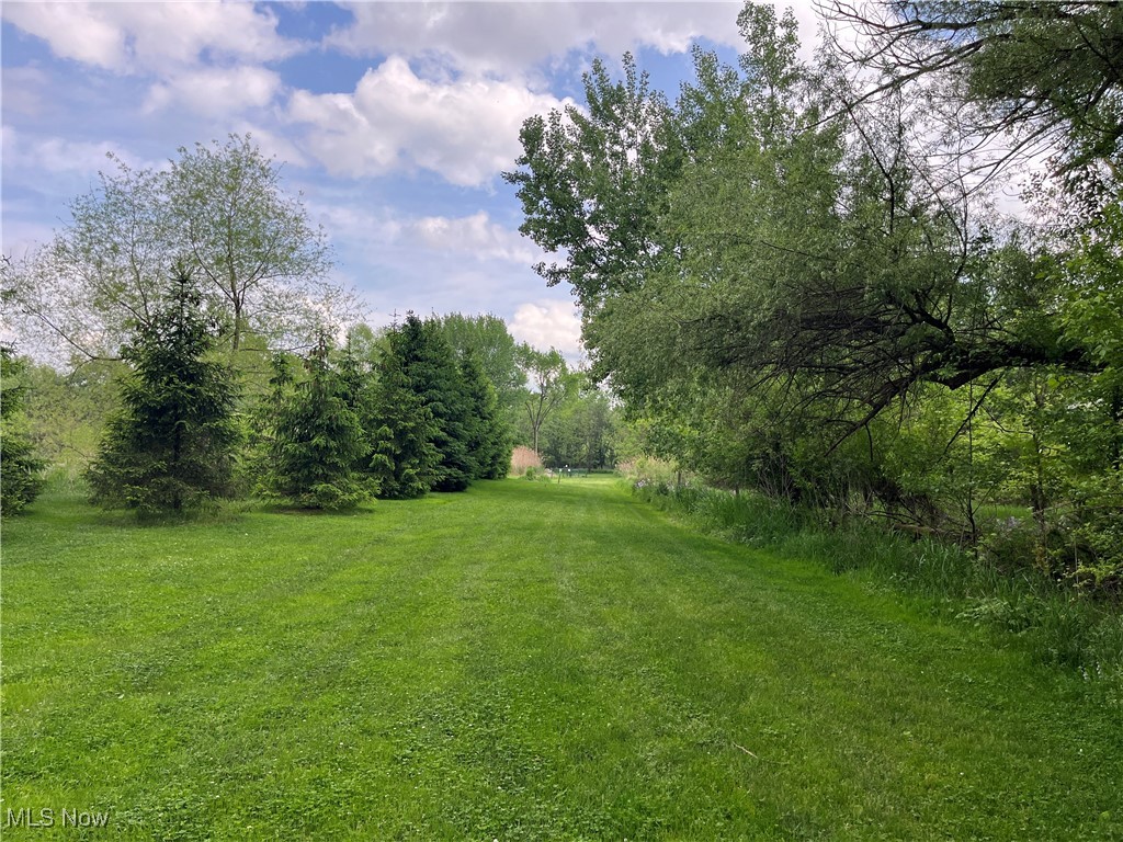 Birkdale Street, Canton, Ohio image 2