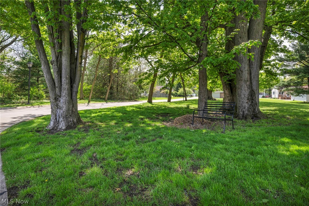 Olmsted Park Condo - Residential