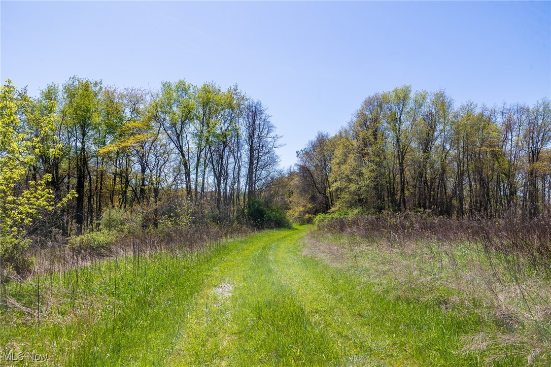 1073 Township Road 2375, Perrysville, Ohio image 7