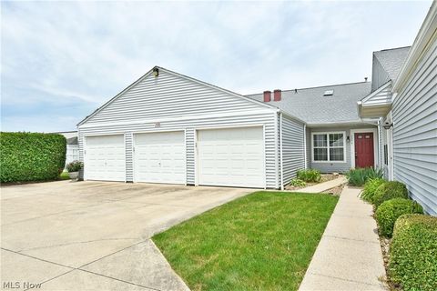 Condo For Sale - 3406 Ivy Hill Circle #B<br/> Cortland, OH 44410