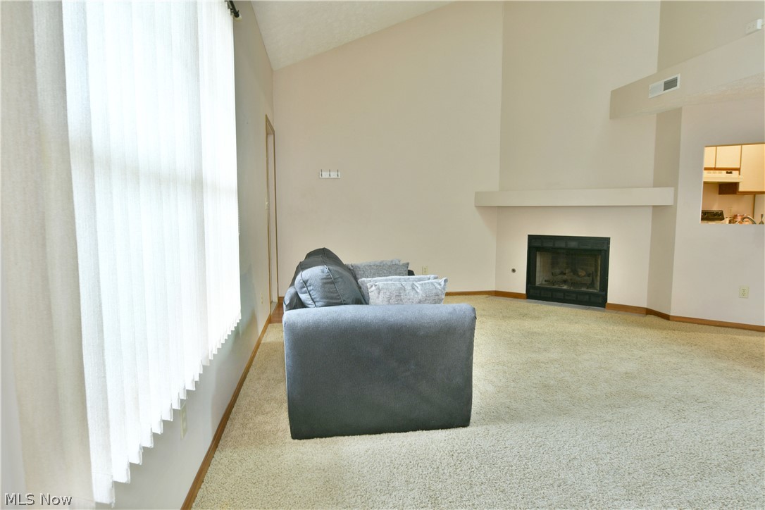 Lake Pointe Condo - Residential