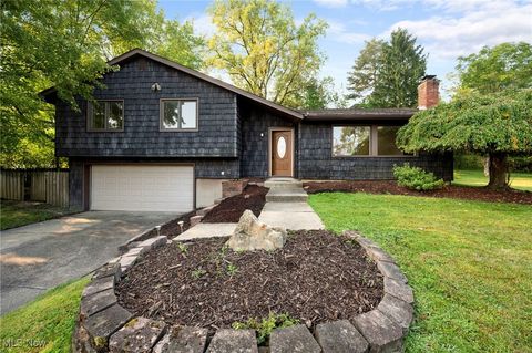 17159 Turkey Meadow Lane Strongsville OH 44136