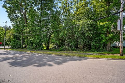 Vacant Land For Sale - 1500 Home Avenue<br/> Akron, OH 44310
