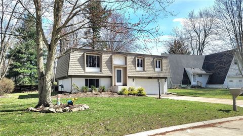 MLS: 5109154