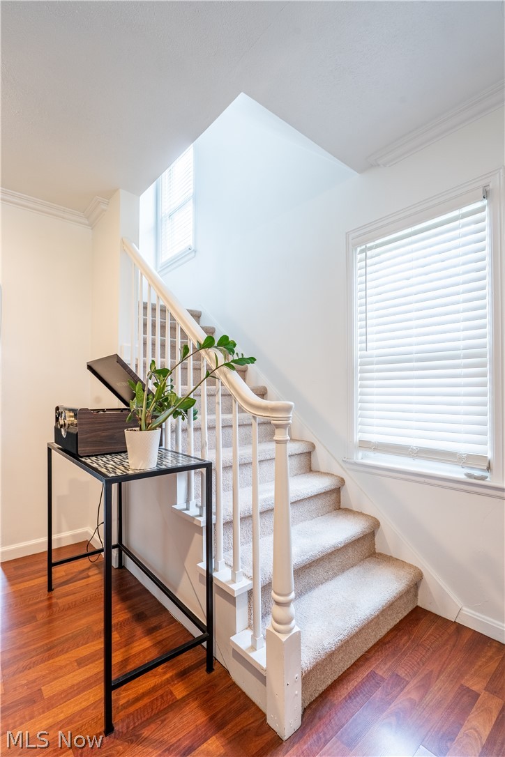 Edgewood - Residential