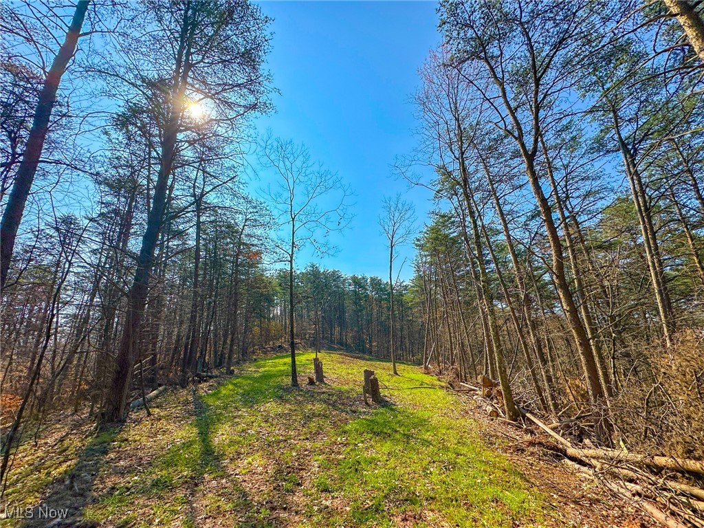 Little Eight Mile Road, Marietta, Ohio image 28
