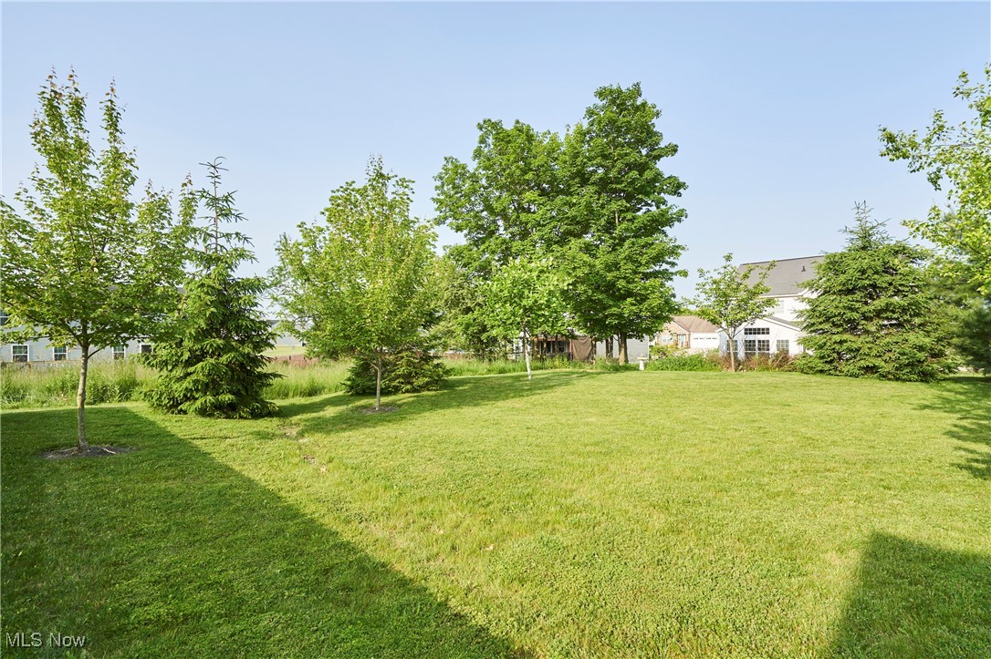 5504 Wightman Circle