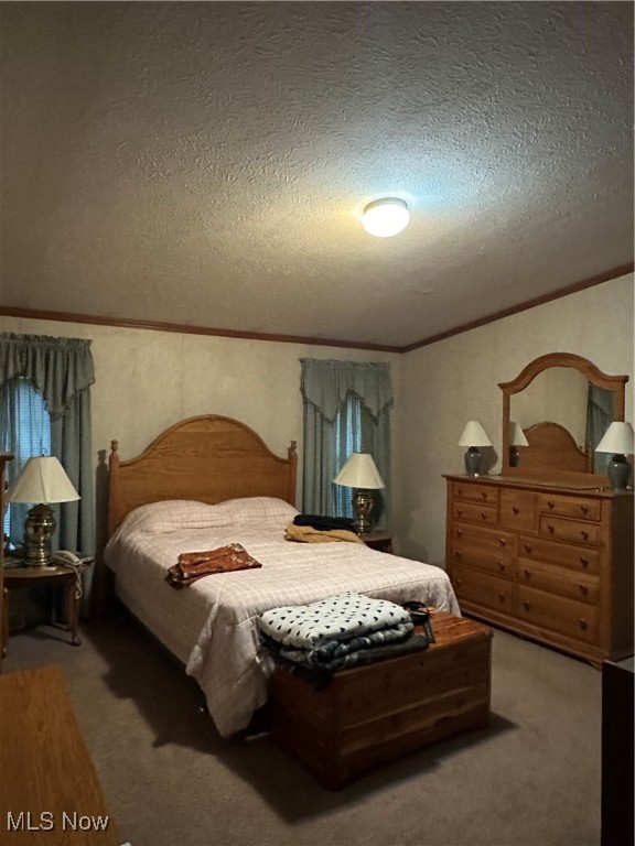 34695 Edwina Road, Lewisville, Ohio image 35