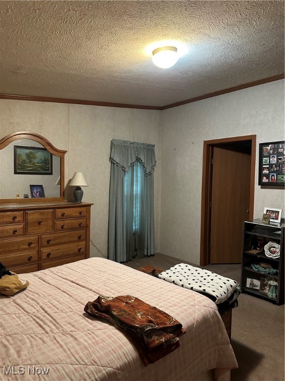 34695 Edwina Road, Lewisville, Ohio image 33