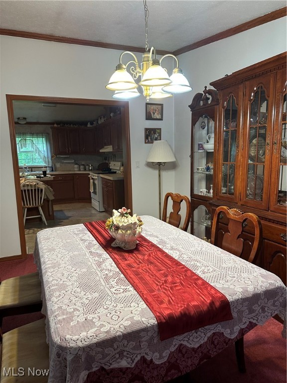 34695 Edwina Road, Lewisville, Ohio image 26