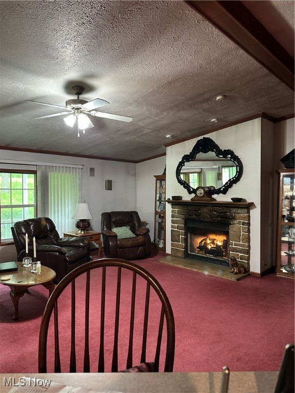 34695 Edwina Road, Lewisville, Ohio image 30