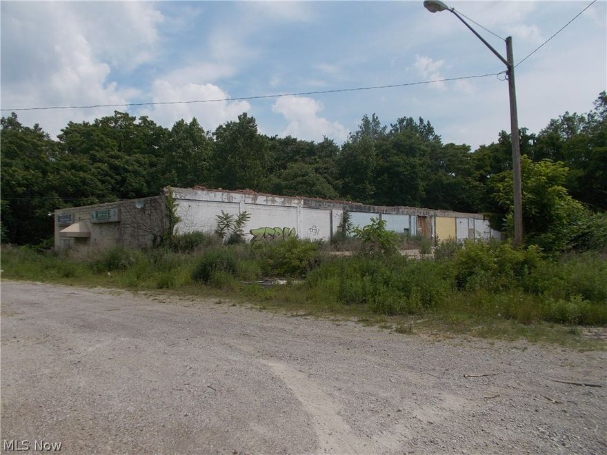 10.5 Acres on Ashtabula River. Concrete block building has been vacant for some time. Many possabilities.