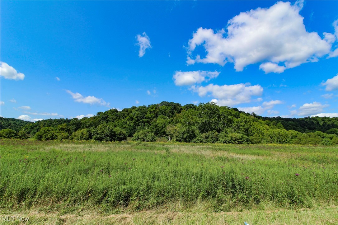 Oh 260, Caldwell, Ohio image 7