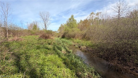 Vacant Land For Sale - Oh-7<br/> Williamsfield, OH 44082