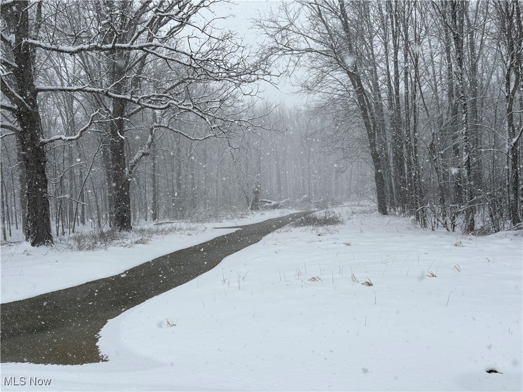 State Road, Ashtabula, Ohio image 3