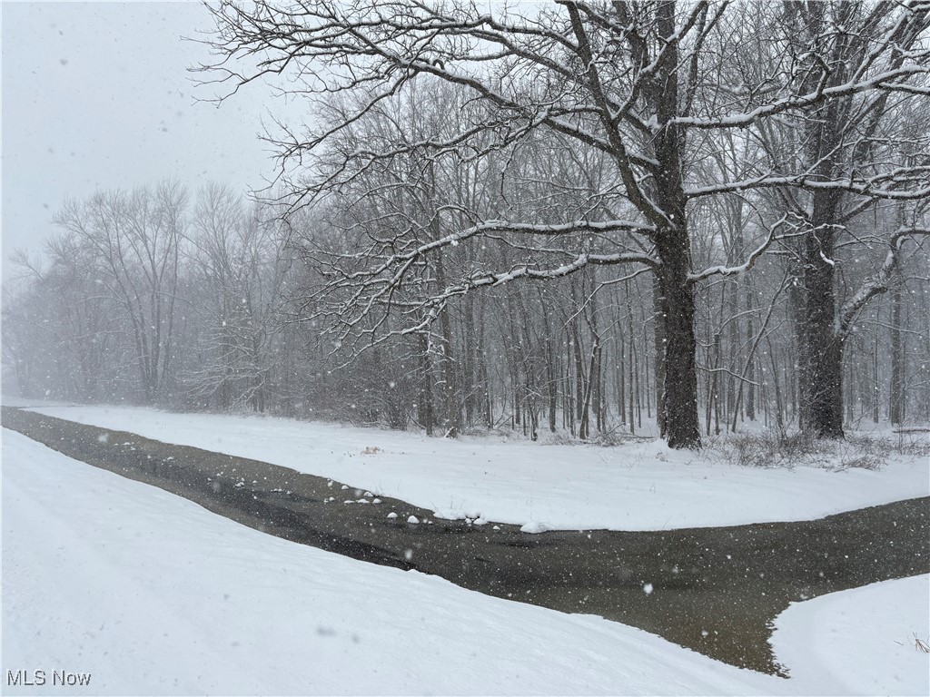 State Road, Ashtabula, Ohio image 2