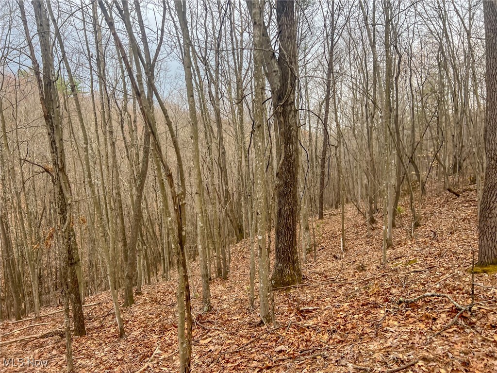 Ponetoen Rd, Ray, Ohio image 7
