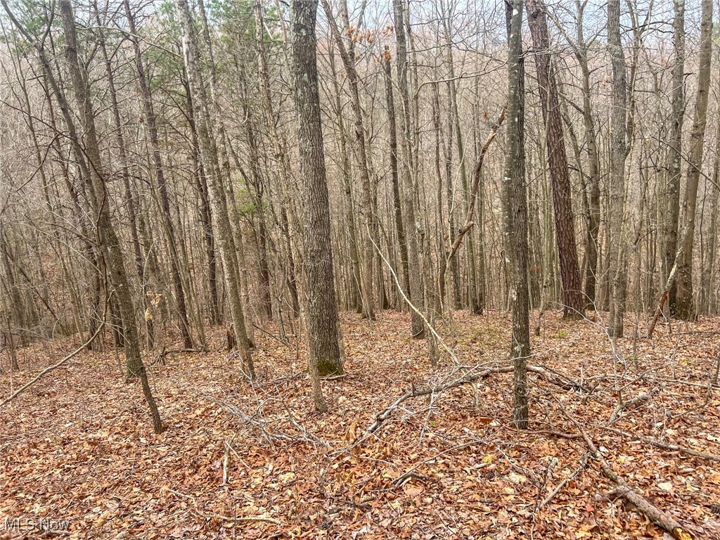 Ponetoen Rd, Ray, Ohio image 5