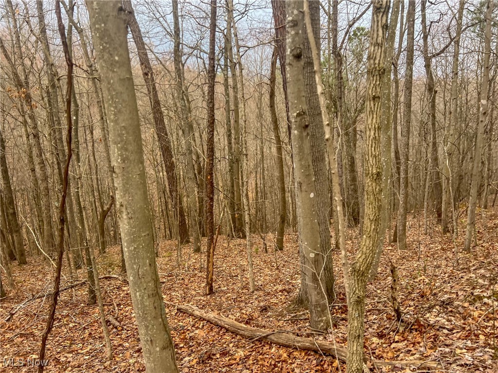 Ponetoen Rd, Ray, Ohio image 4