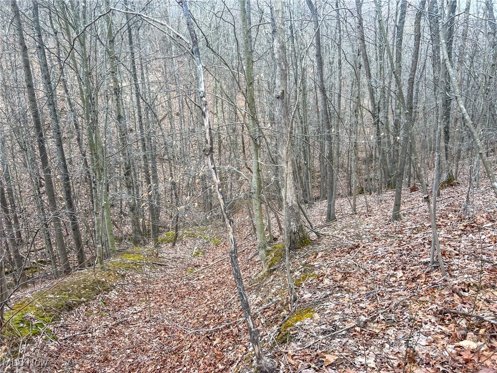 Ponetoen Rd, Ray, Ohio image 11