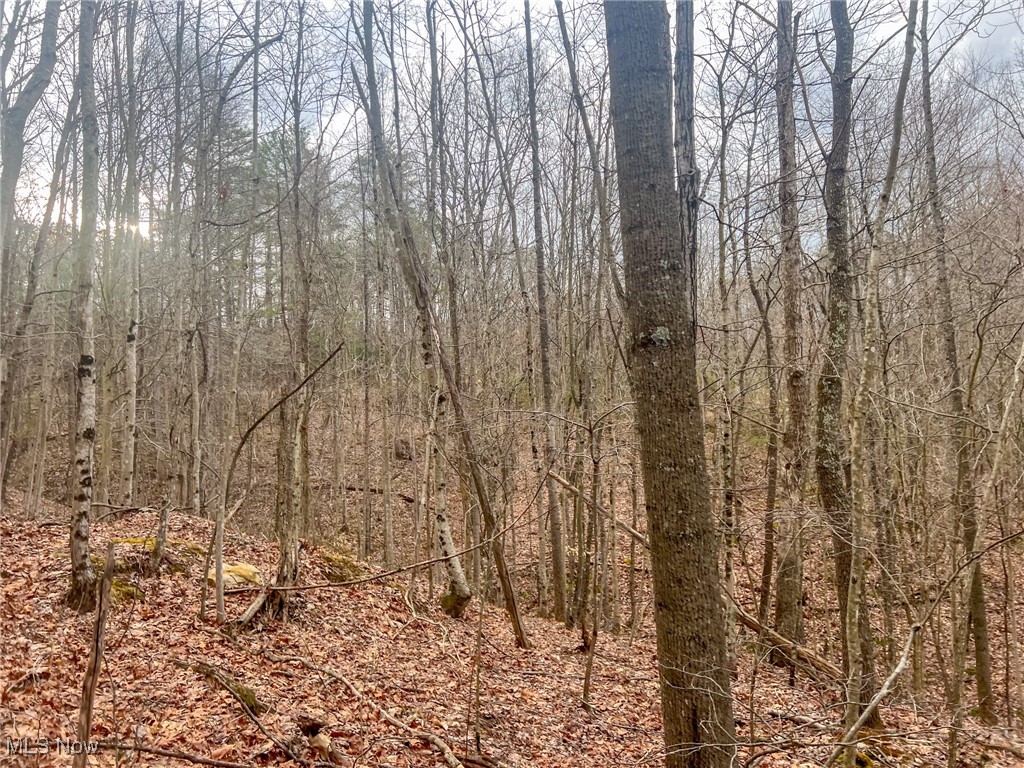 Ponetoen Rd, Ray, Ohio image 13
