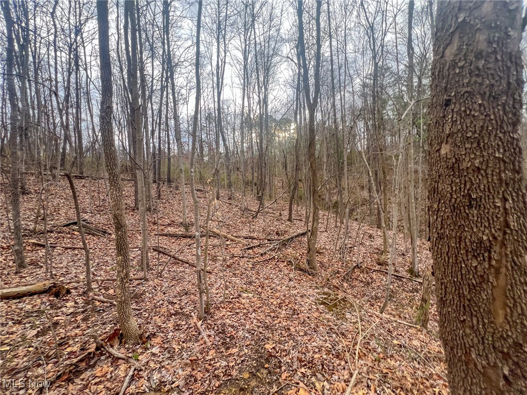 Ponetoen Rd, Ray, Ohio image 15