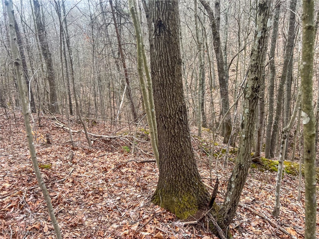 Ponetoen Rd, Ray, Ohio image 10