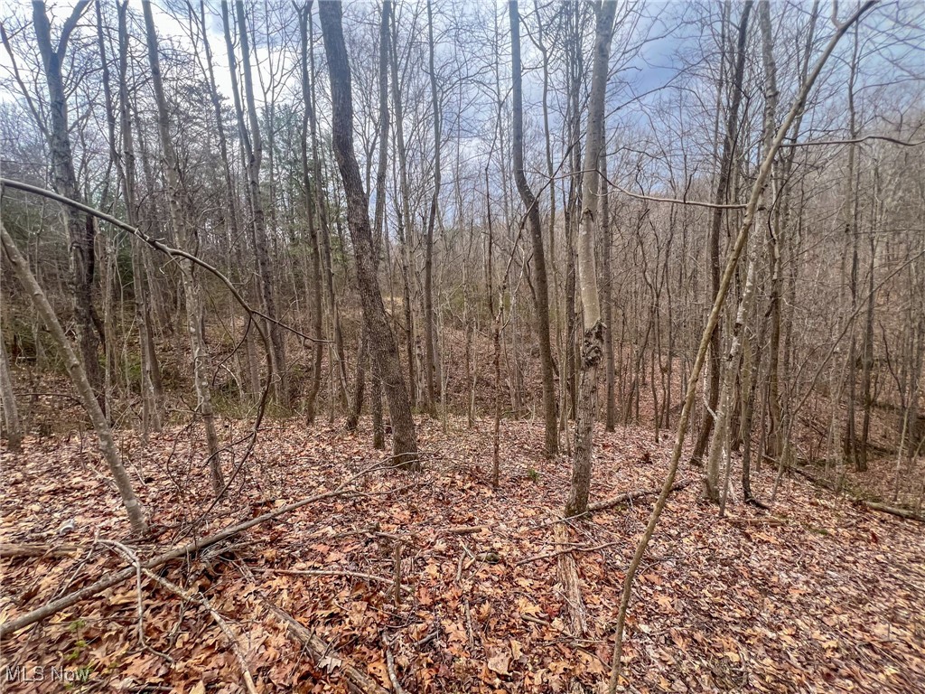 Ponetoen Rd, Ray, Ohio image 16