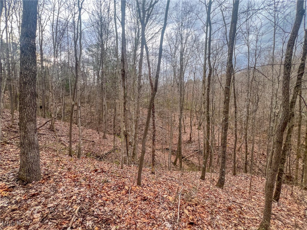 Ponetoen Rd, Ray, Ohio image 14