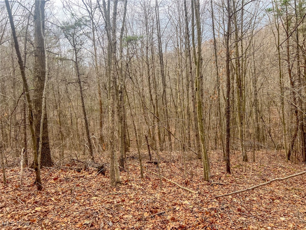 Ponetoen Rd, Ray, Ohio image 6