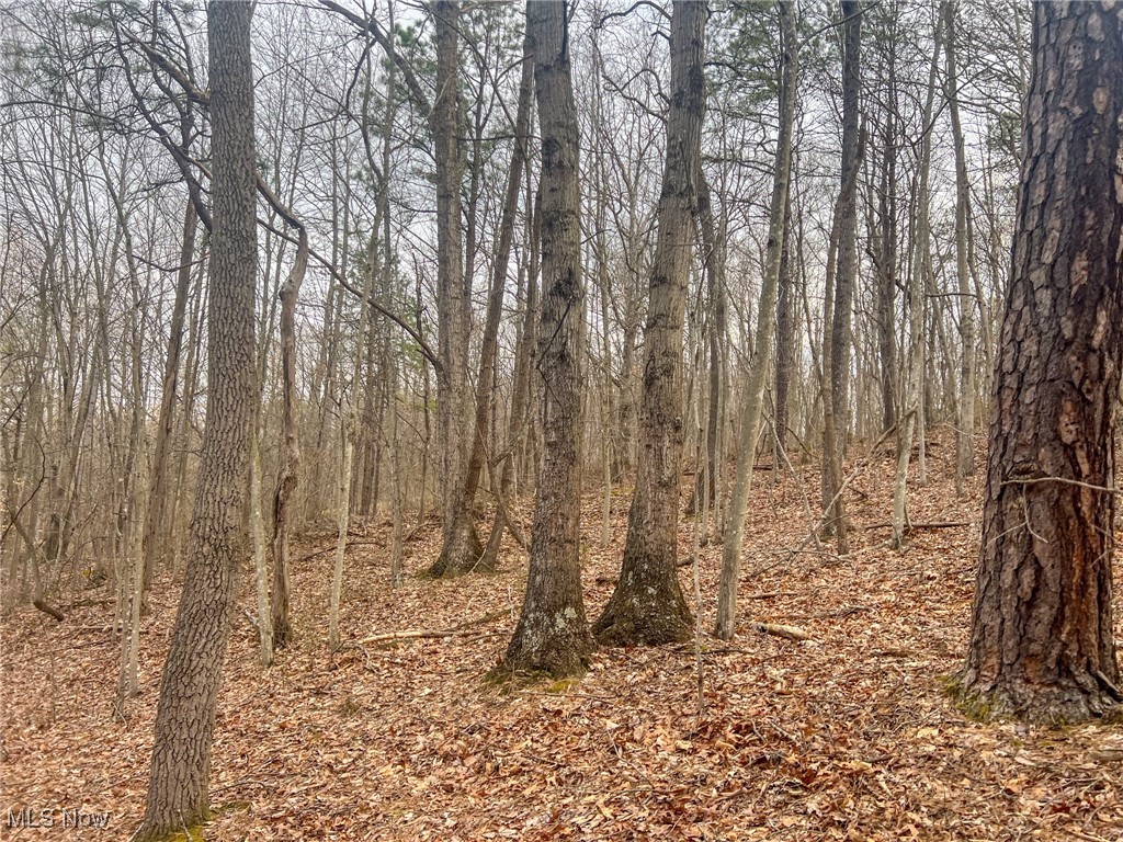 Ponetoen Rd, Ray, Ohio image 1