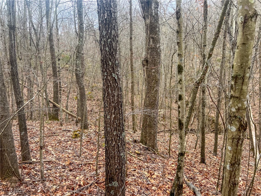 Ponetoen Rd, Ray, Ohio image 12