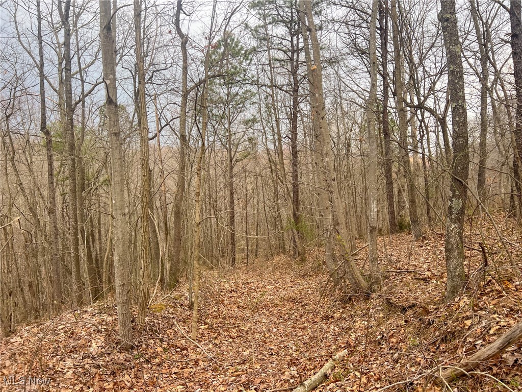 Ponetoen Rd, Ray, Ohio image 2