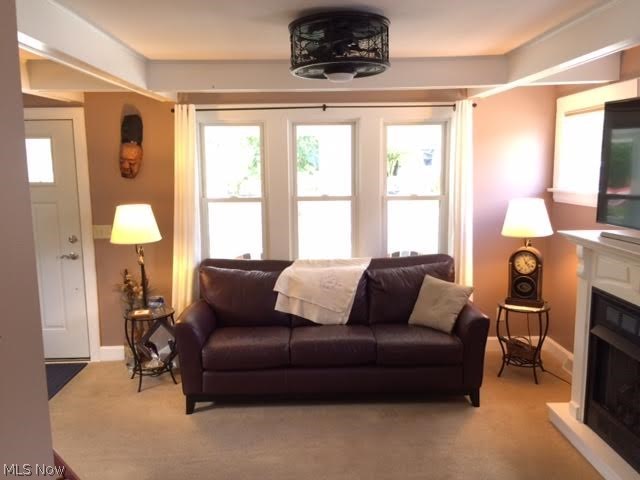 Shoreland - Residential