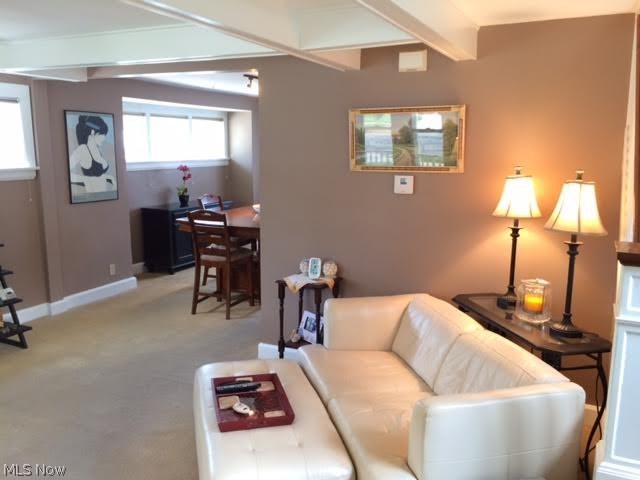 Shoreland - Residential