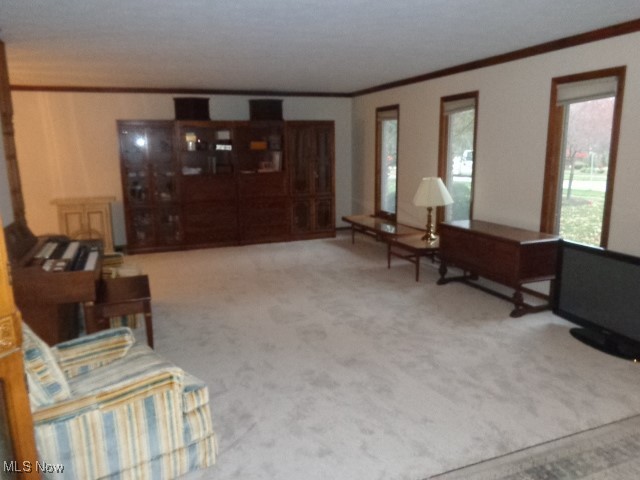 Co-Moor - Residential