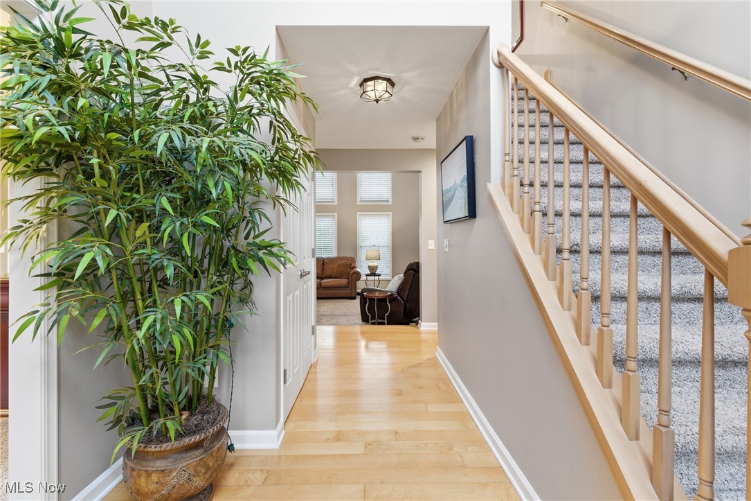 1390 Silverdale Circle