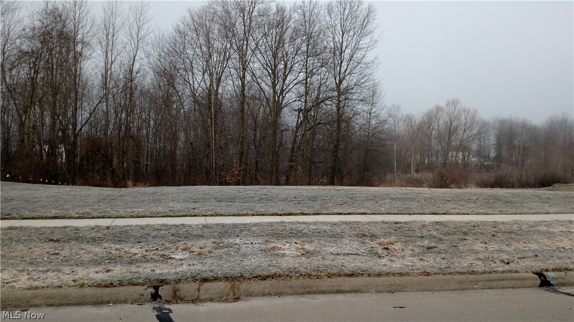 Bayberry Estate - Land