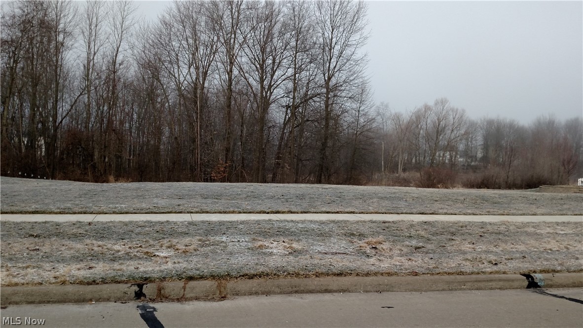 Bayberry Estate - Land